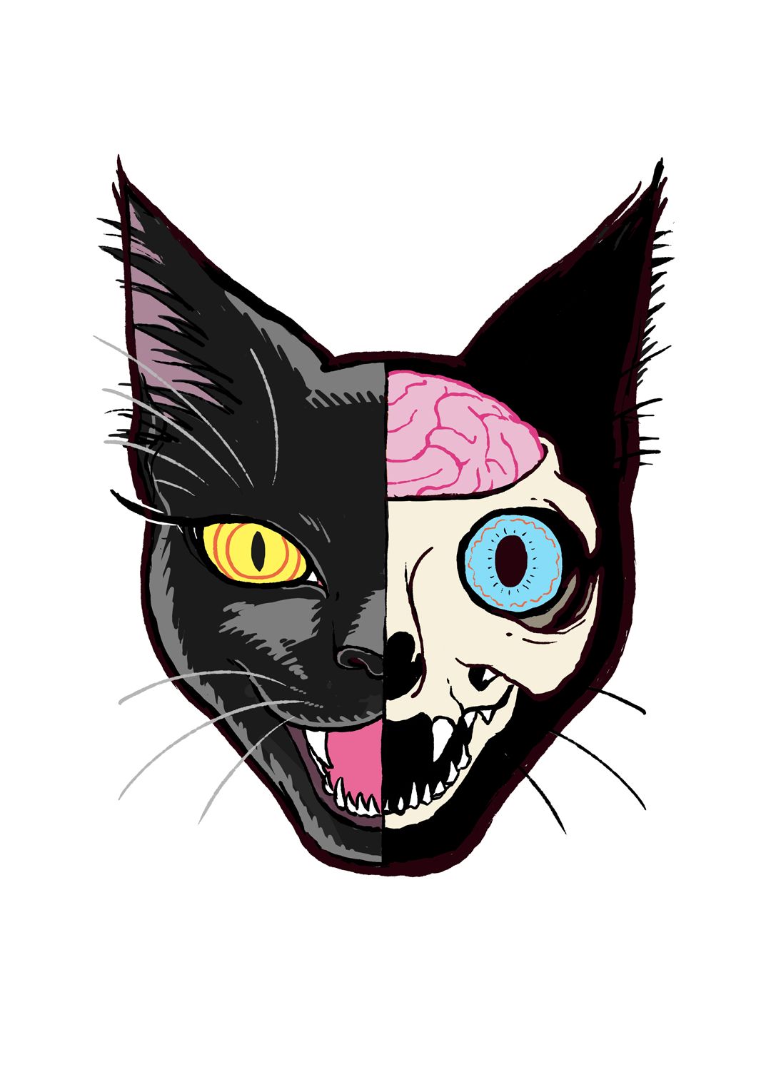 EggnWorks Museum エッグンワークス ミュージアム スケルトン猫