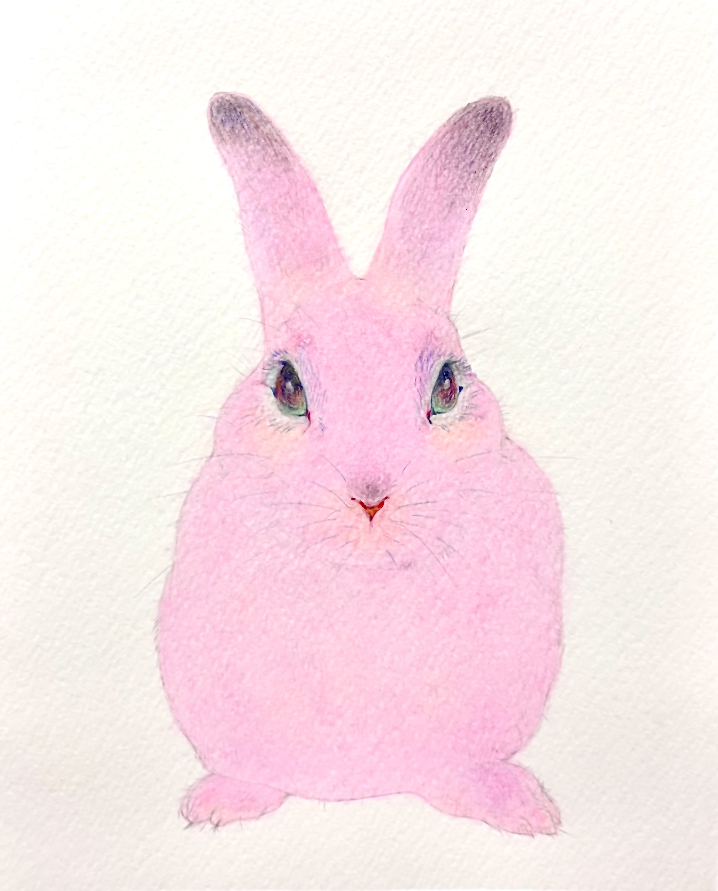 EggnWorks Museum エッグンワークス ミュージアム pink rabbit