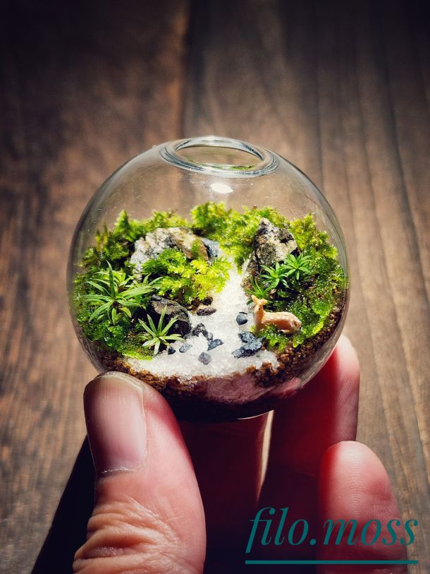 EggnWorks Museum エッグンワークス ミュージアム 「ひとつまみの世界」filo moss