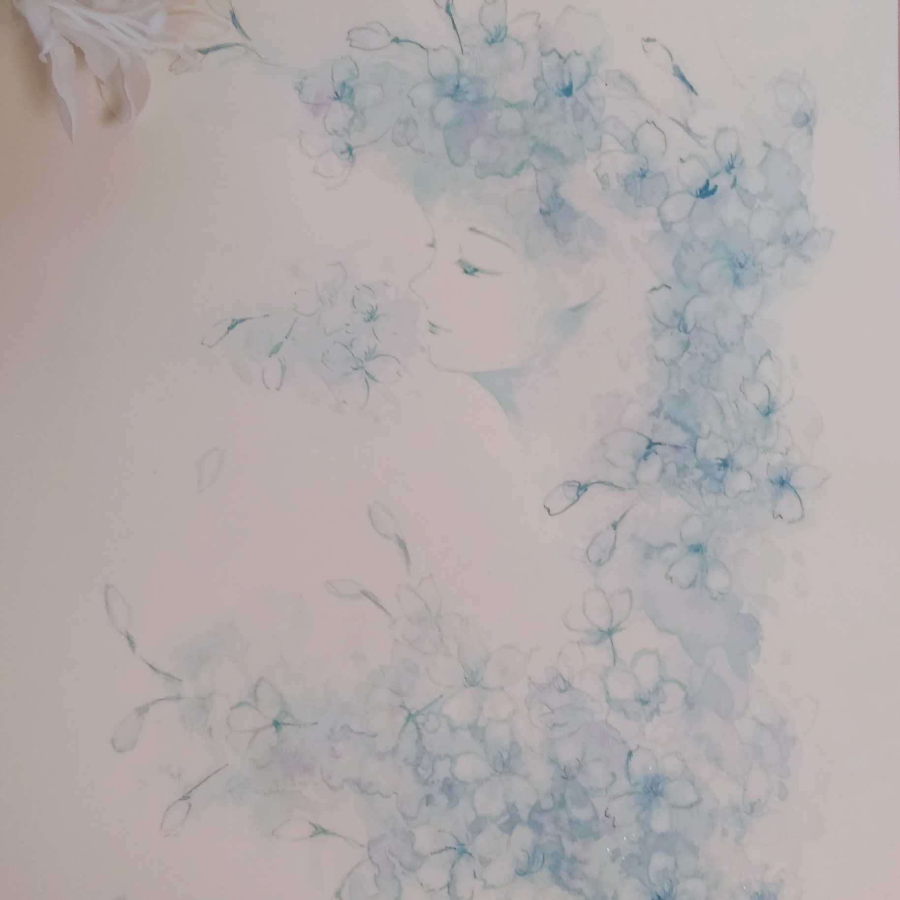 桜愛
