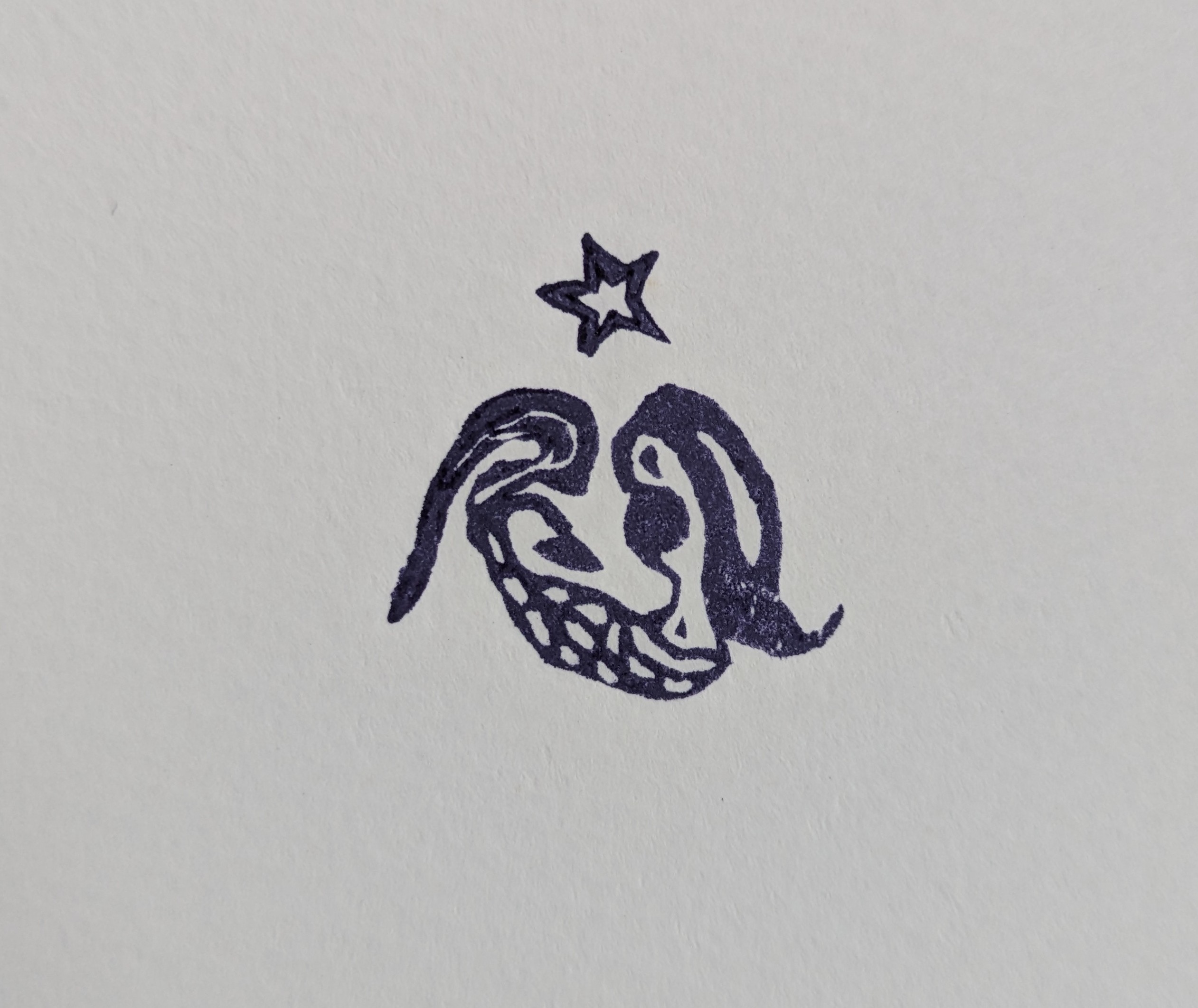 人魚と小さな星