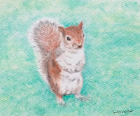EggnWorks Museum エッグンワークス ミュージアム London squirrel