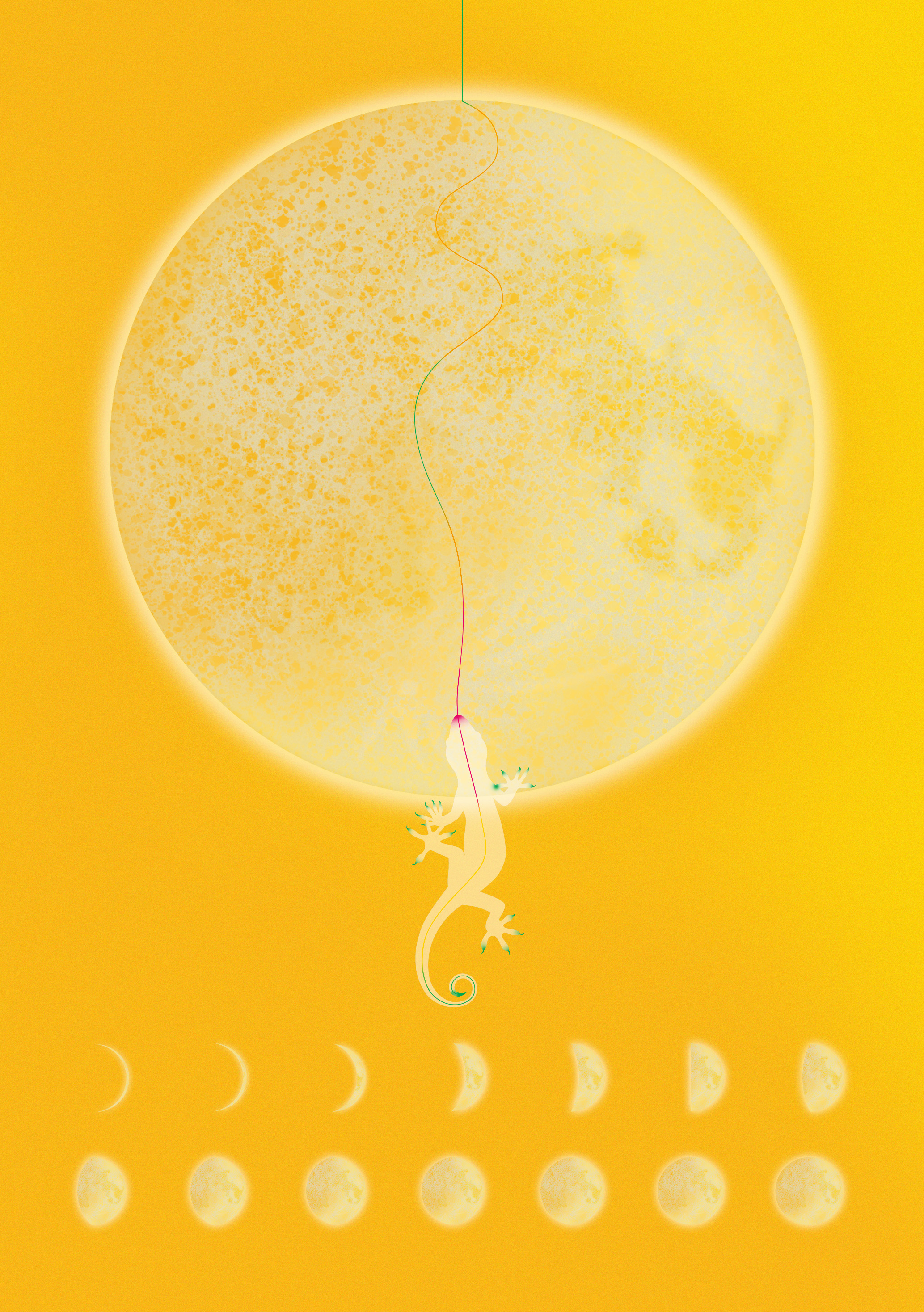 EggnWorks Museum エッグンワークス ミュージアム PHASES OF THE MOON