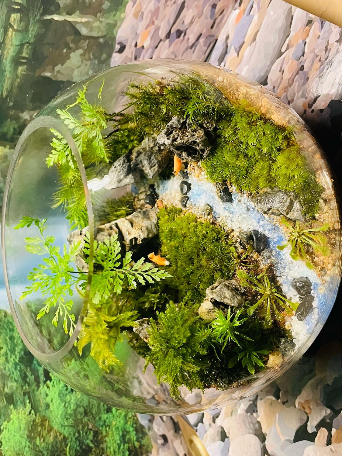 EggnWorks Museum エッグンワークス ミュージアム 苔テラリウム・モスチャー作品