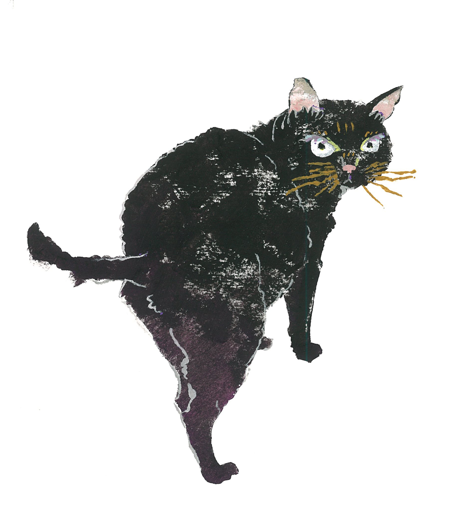 ureshicat