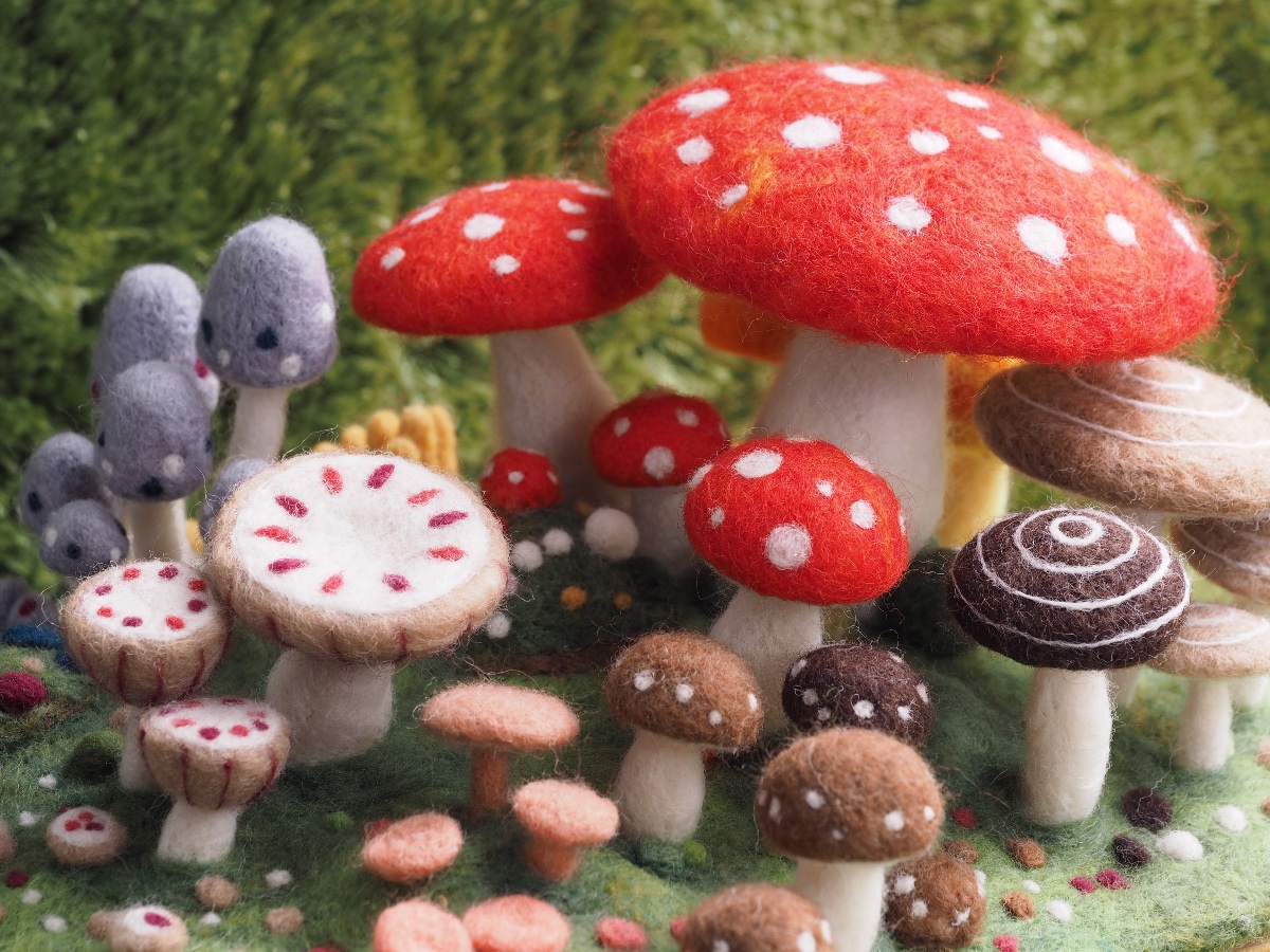 きのこの森