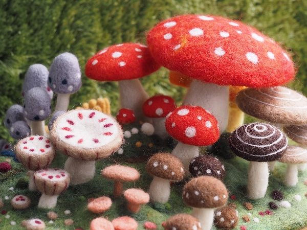 EggnWorks Museum きのこの森