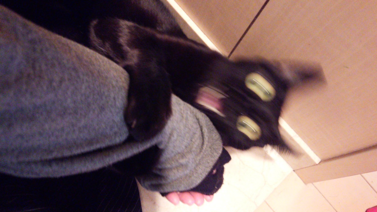 かずよん