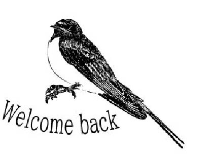 EggnWorks Museum エッグンワークス ミュージアム Welcome back ツバメ