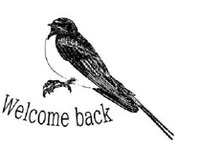 EggnWorks Museum エッグンワークス ミュージアム Welcome back ツバメ