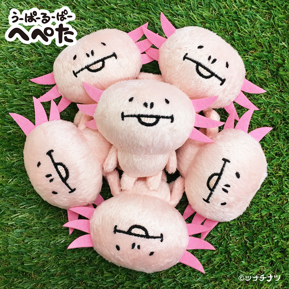 ツナチナツ