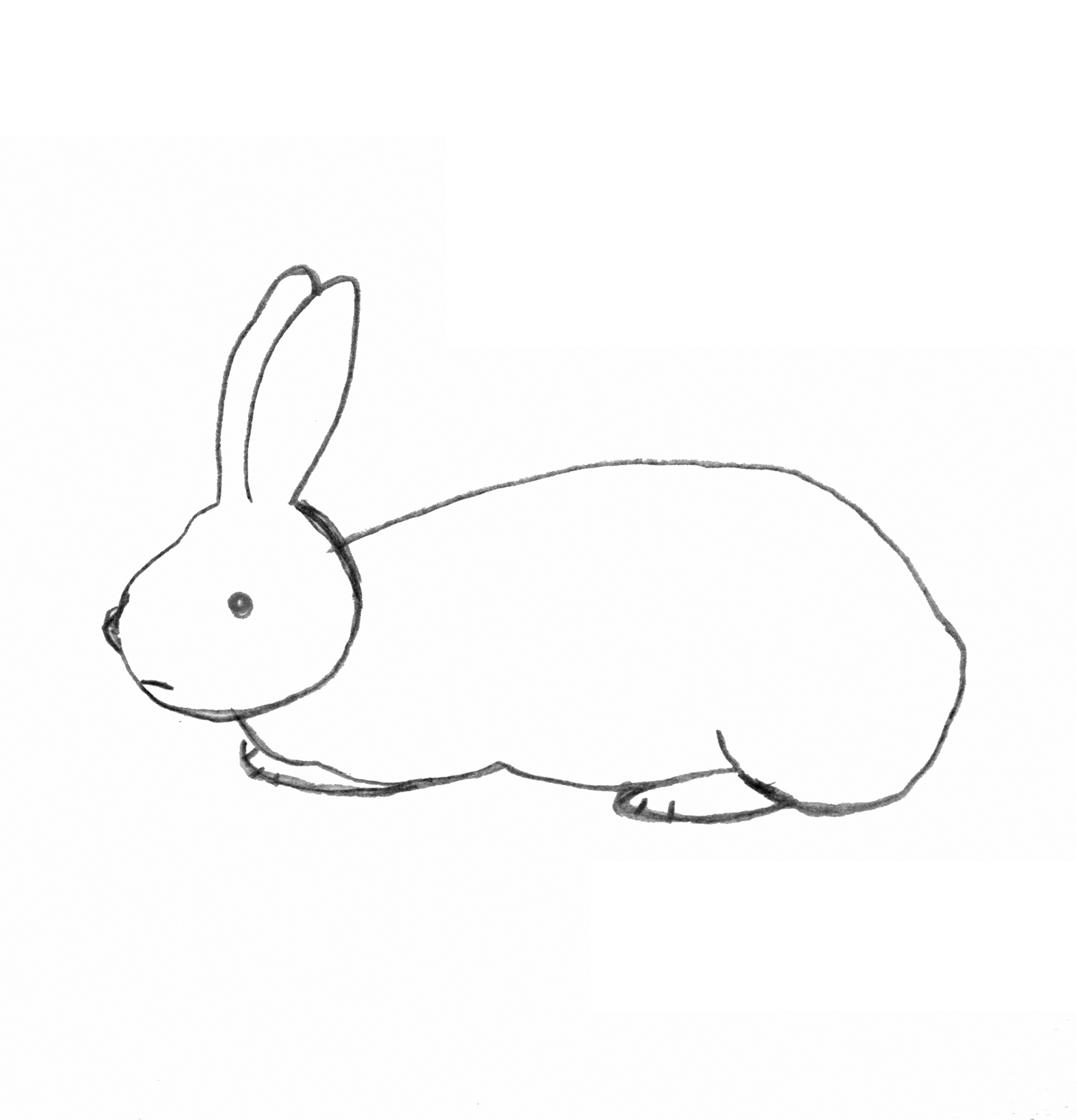 EggnWorks Museum エッグンワークス ミュージアム うさぎ５