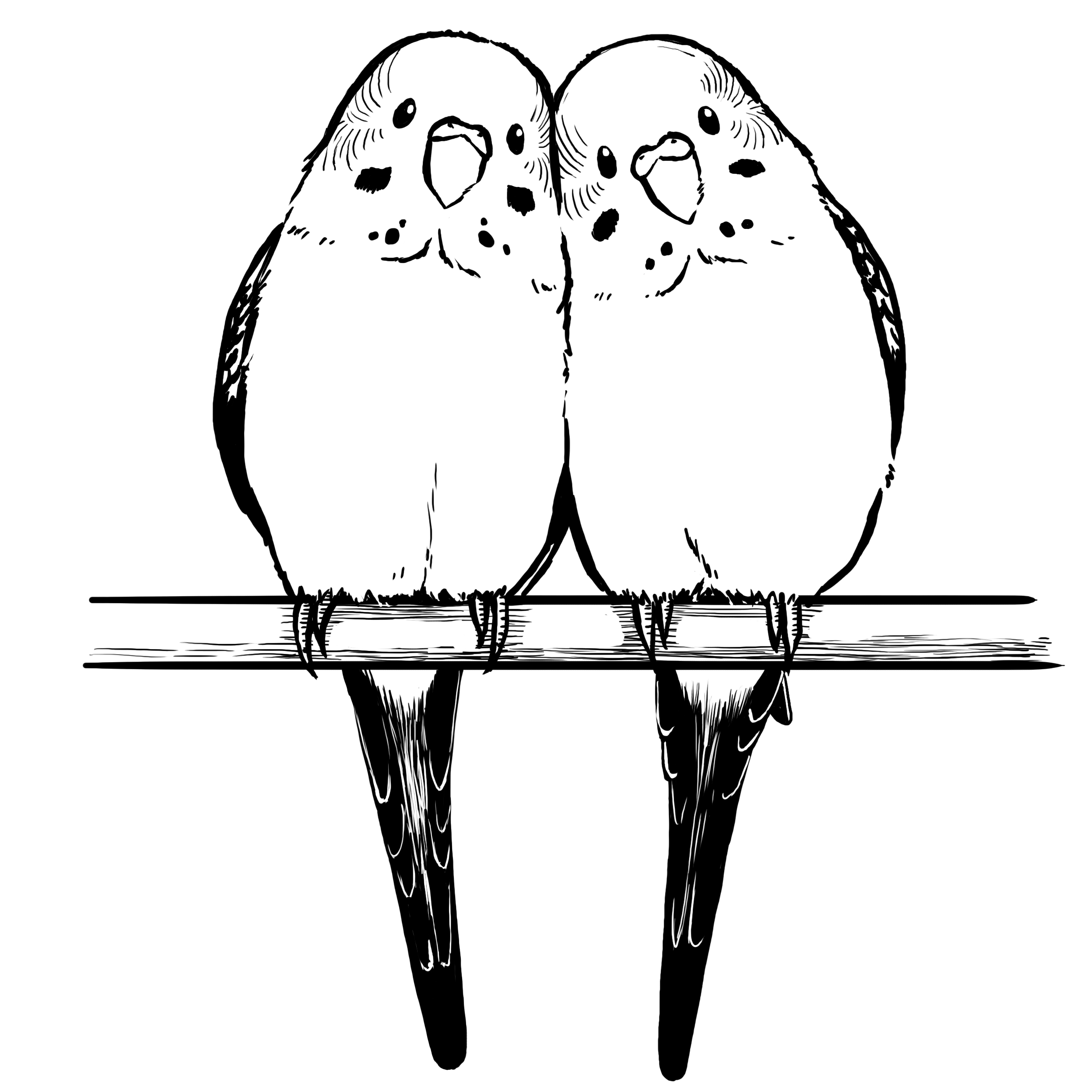 EggnWorks Museum エッグンワークス ミュージアム らぶらぶセキセイインコ