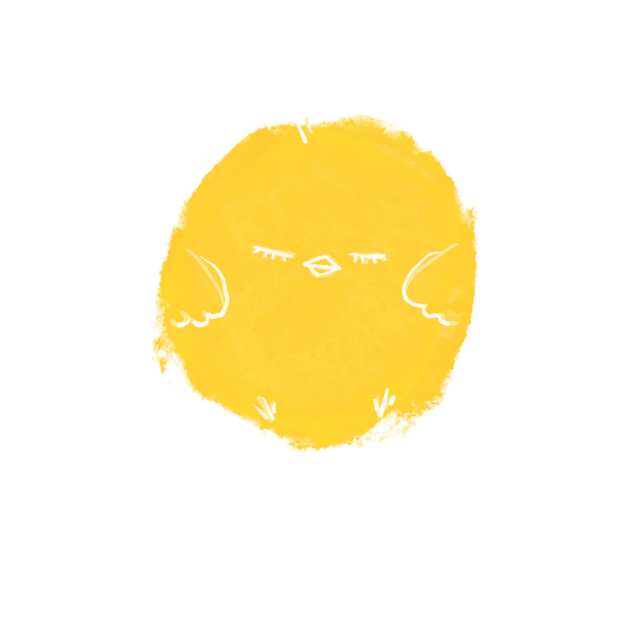ゆでこ
