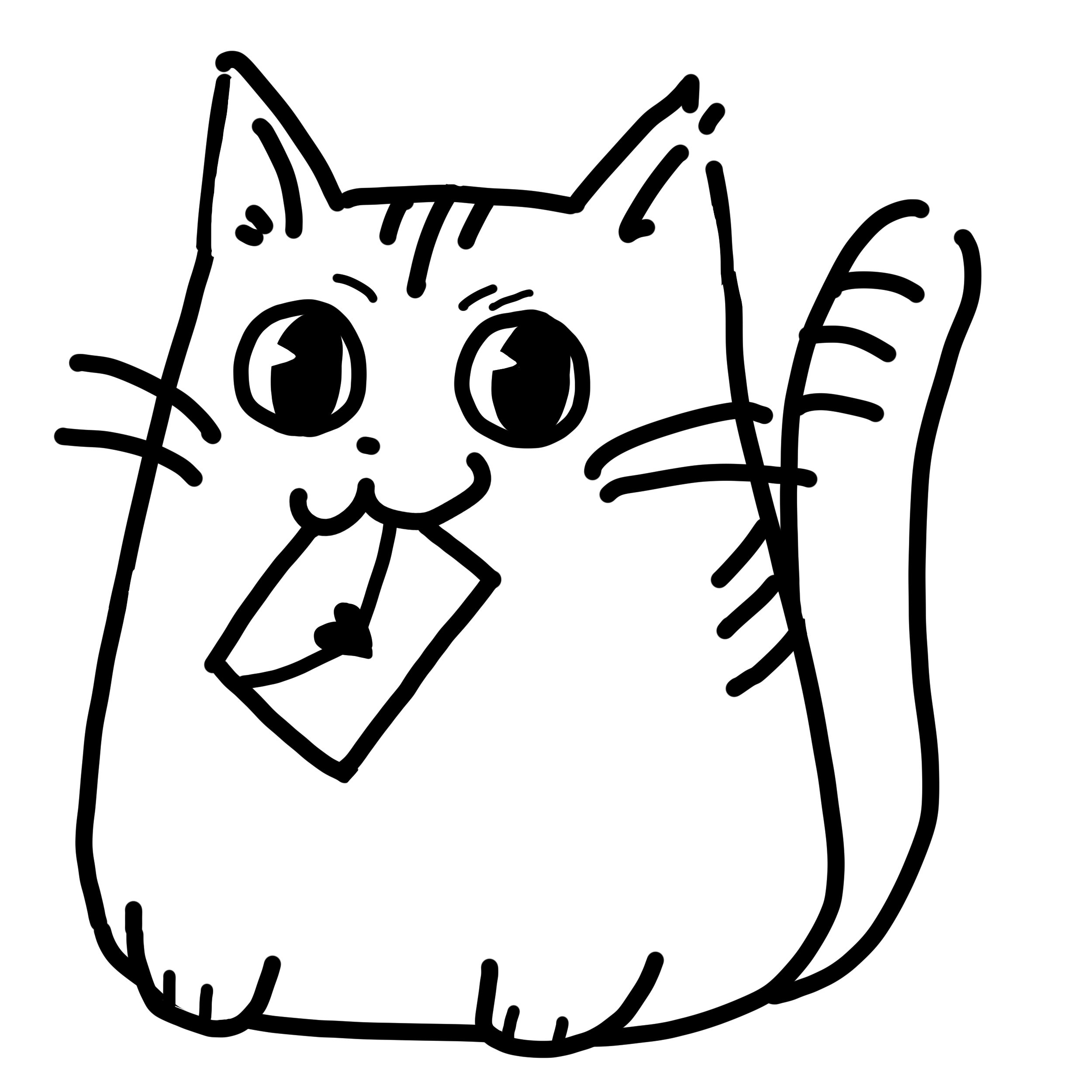 EggnWorks Museum エッグンワークス ミュージアム お手紙猫