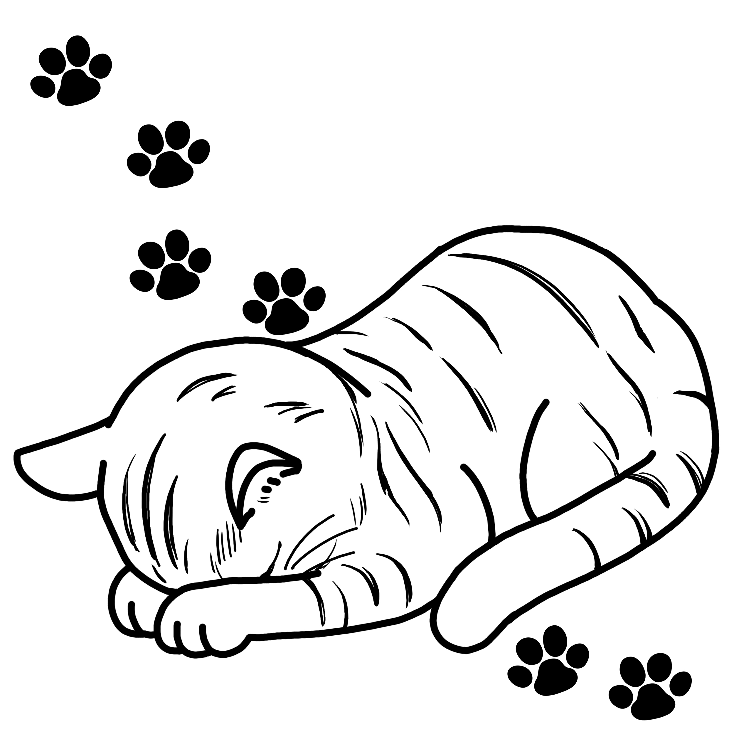 EggnWorks Museum エッグンワークス ミュージアム 猫のごめん寝