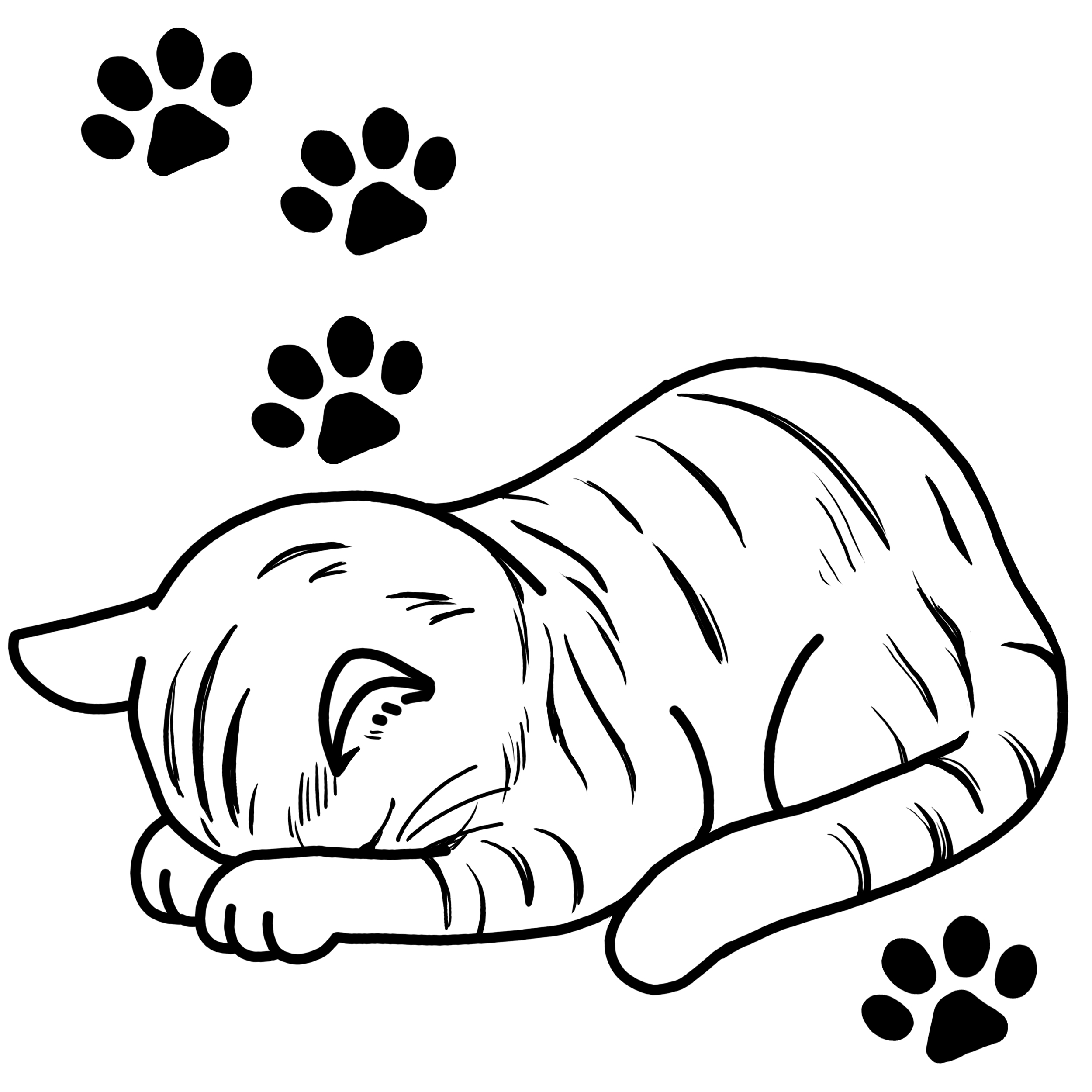 EggnWorks Museum エッグンワークス ミュージアム 猫のごめん寝